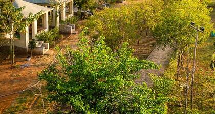 Sariska Farms & Adventure