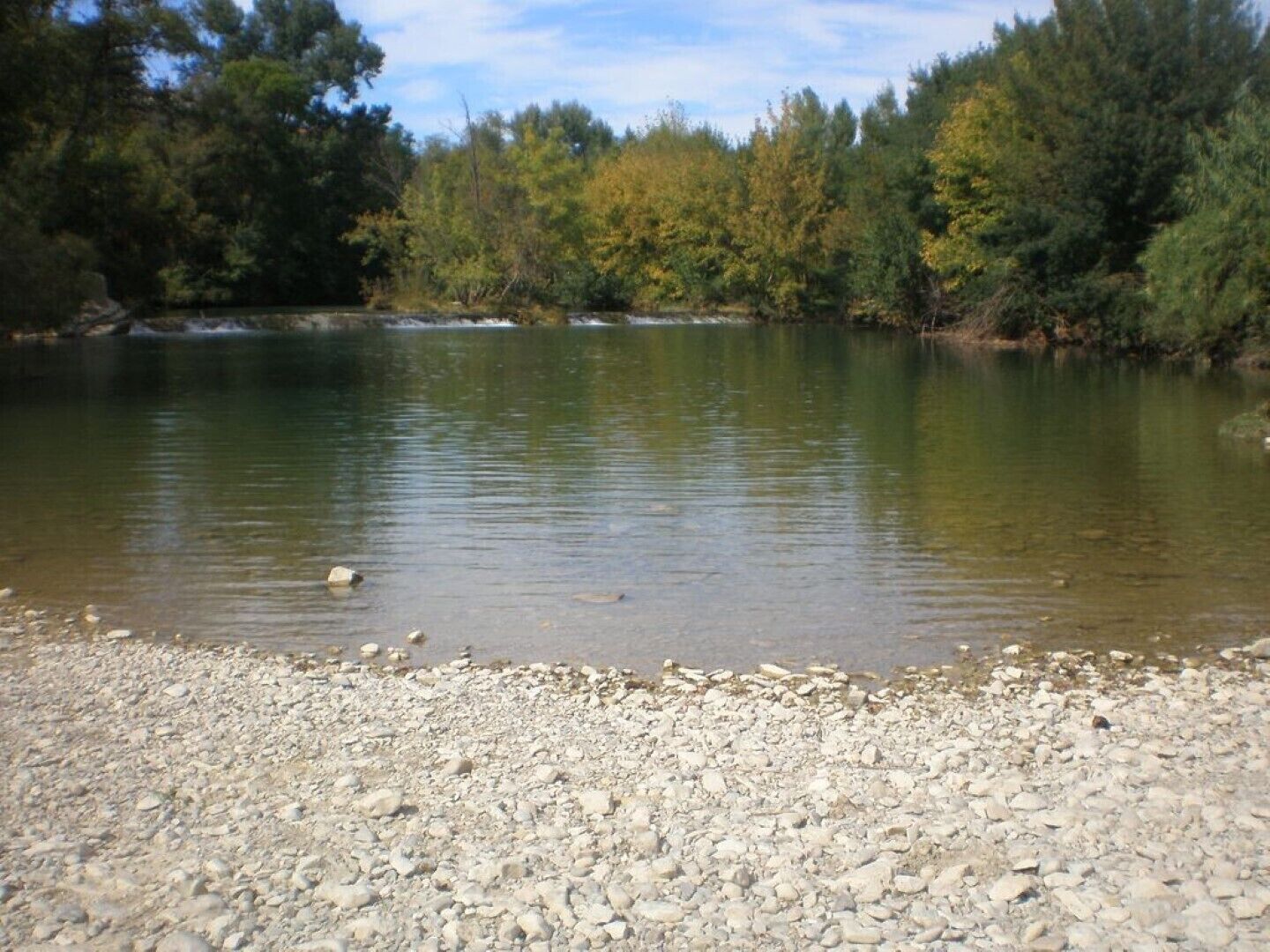A calm river with a rocky shore and dense trees in the background.