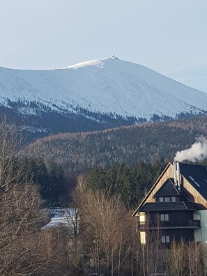 إطلالة الغرفة