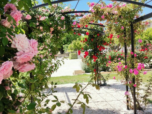  Gîte Rose – Under the Stars of Provence