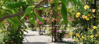 🌹 Gîte Rose – Sous les Étoiles de Provence