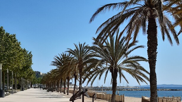 A paved promenade lined with palm trees and a beach in the background. - Studio Rosas Spain (ROSES)