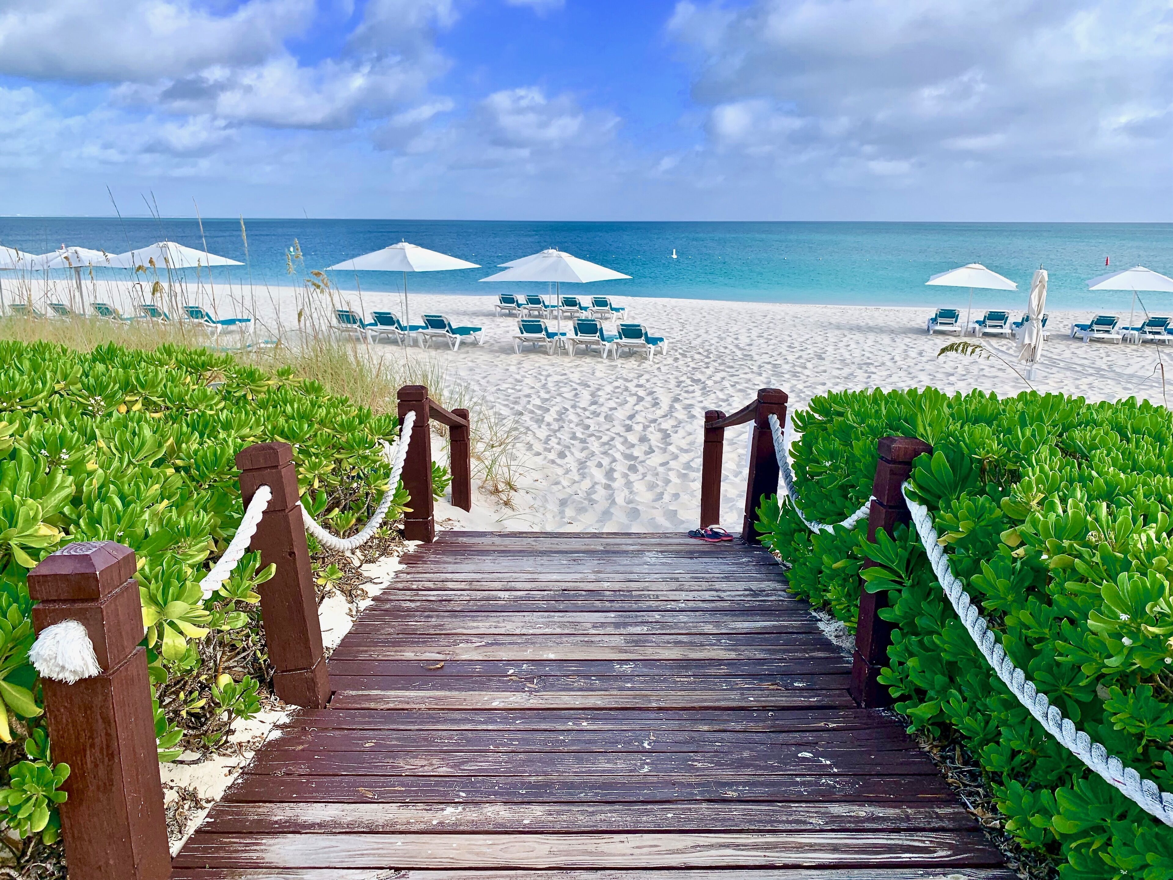 Plage, chaises longues, serviettes de plage