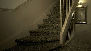 Uma escadaria com degraus carpetados e ornamentados e um aplique na parede.