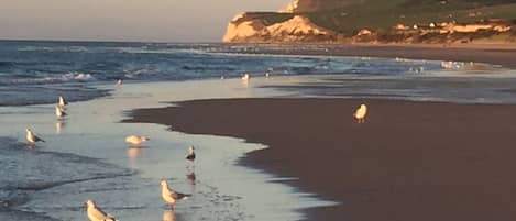 Playa