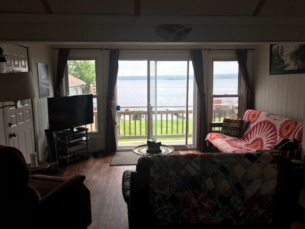 TV, DVD player, books, video library
