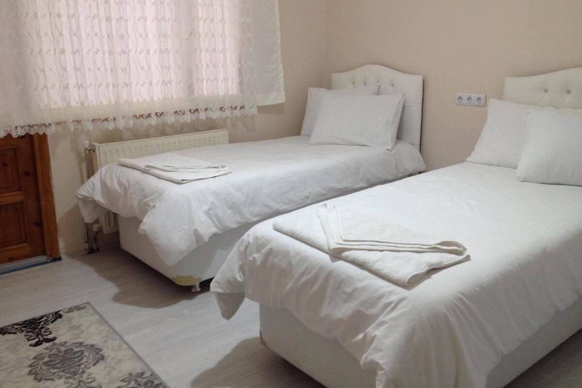 Une chambre avec deux lits simples, du linge de lit blanc, un radiateur, une porte en bois et un tapis à motifs.