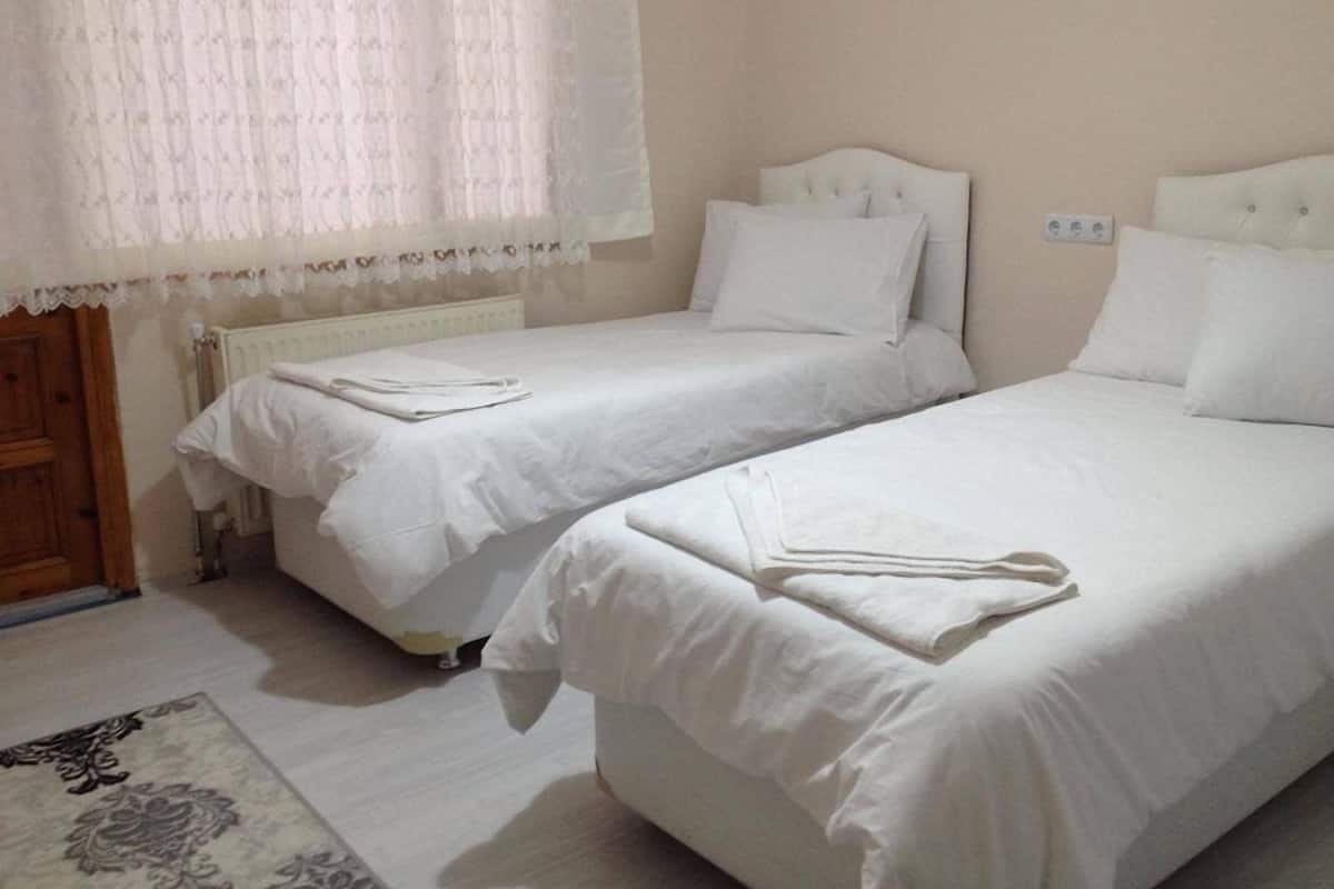 Chambre Standard avec lits jumeaux