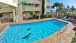 A swimming pool with two people swimming, surrounded by a building with balconies and a small garden area.