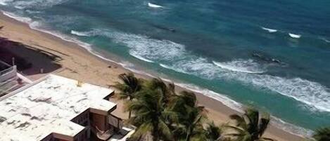 Aan het strand, ligstoelen aan het strand, strandlakens