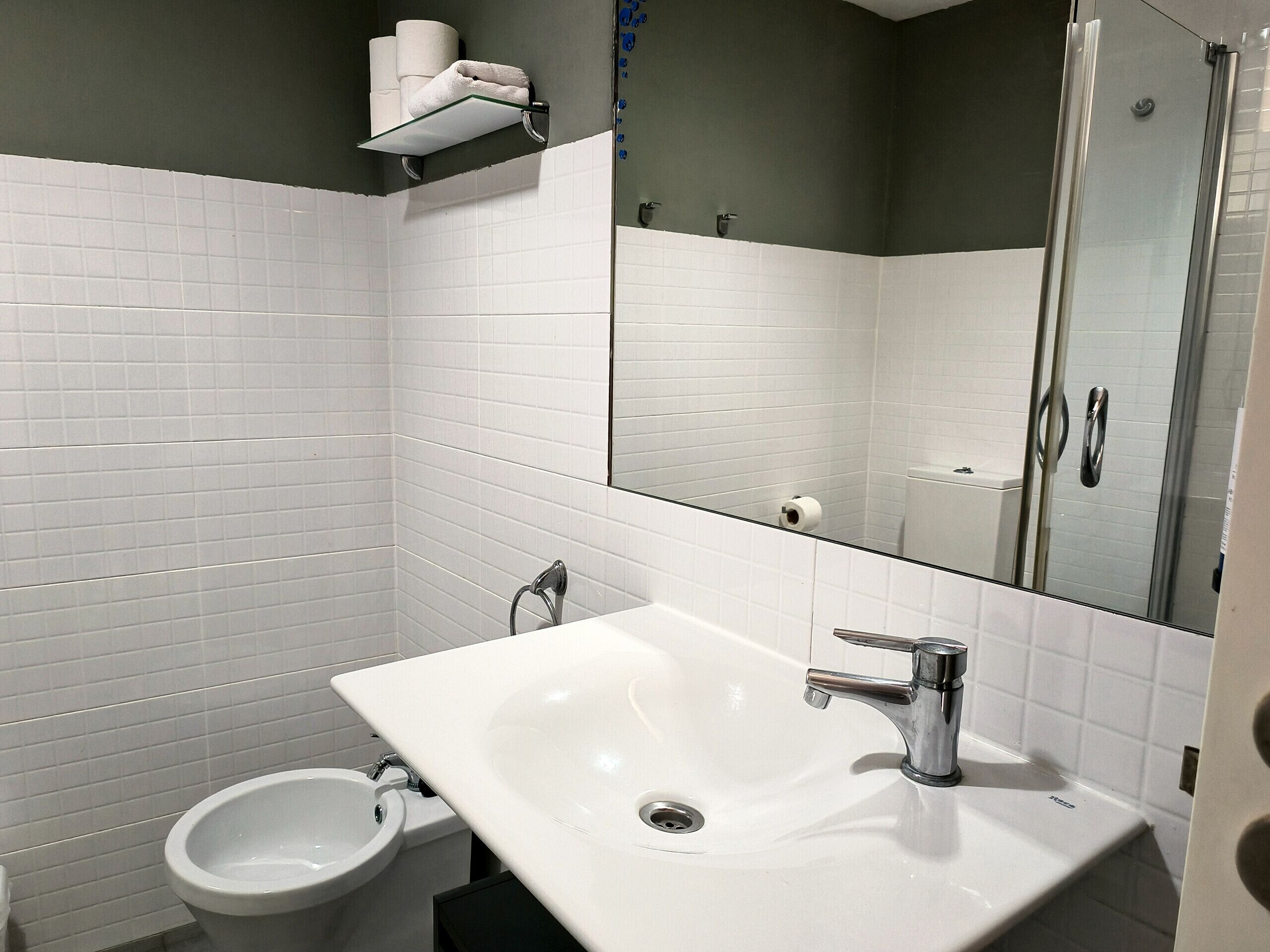 Shower, hair dryer, bidet, towels