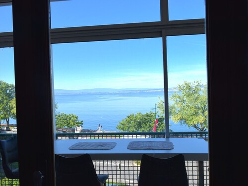 Spacious Apartment in Evian with Lake View, Balcony, and Pet-Friendly