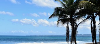 ★ Happy Turtle Loft - Sparkling clean corner loft steps to Sandy Beach ★