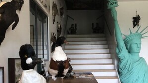 A room with a wooden table displaying various bird figurines and a statue of the Statue of Liberty. - The Orangery of Chatel for 6, 2019 Figaro Magazine cover heated swimming poll (Cleppé)