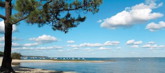 Les Sylvaines by Interhome