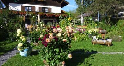 GĂ€stehaus Drachenfels