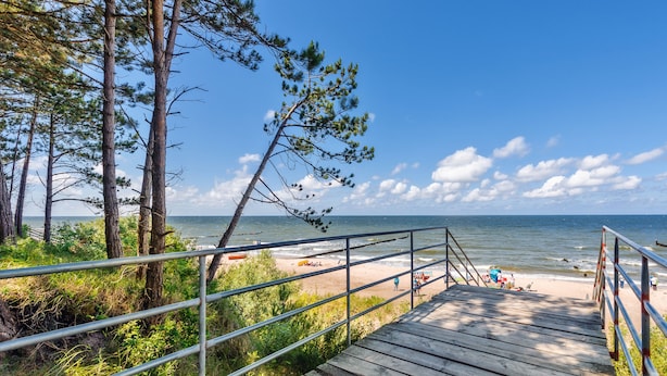 A wooden staircase leading to a beach with a railing, surrounded by trees and overlooking the sea. - Apartamenty Sun & Snow Dwie Sosny (Ustronie Morskie)