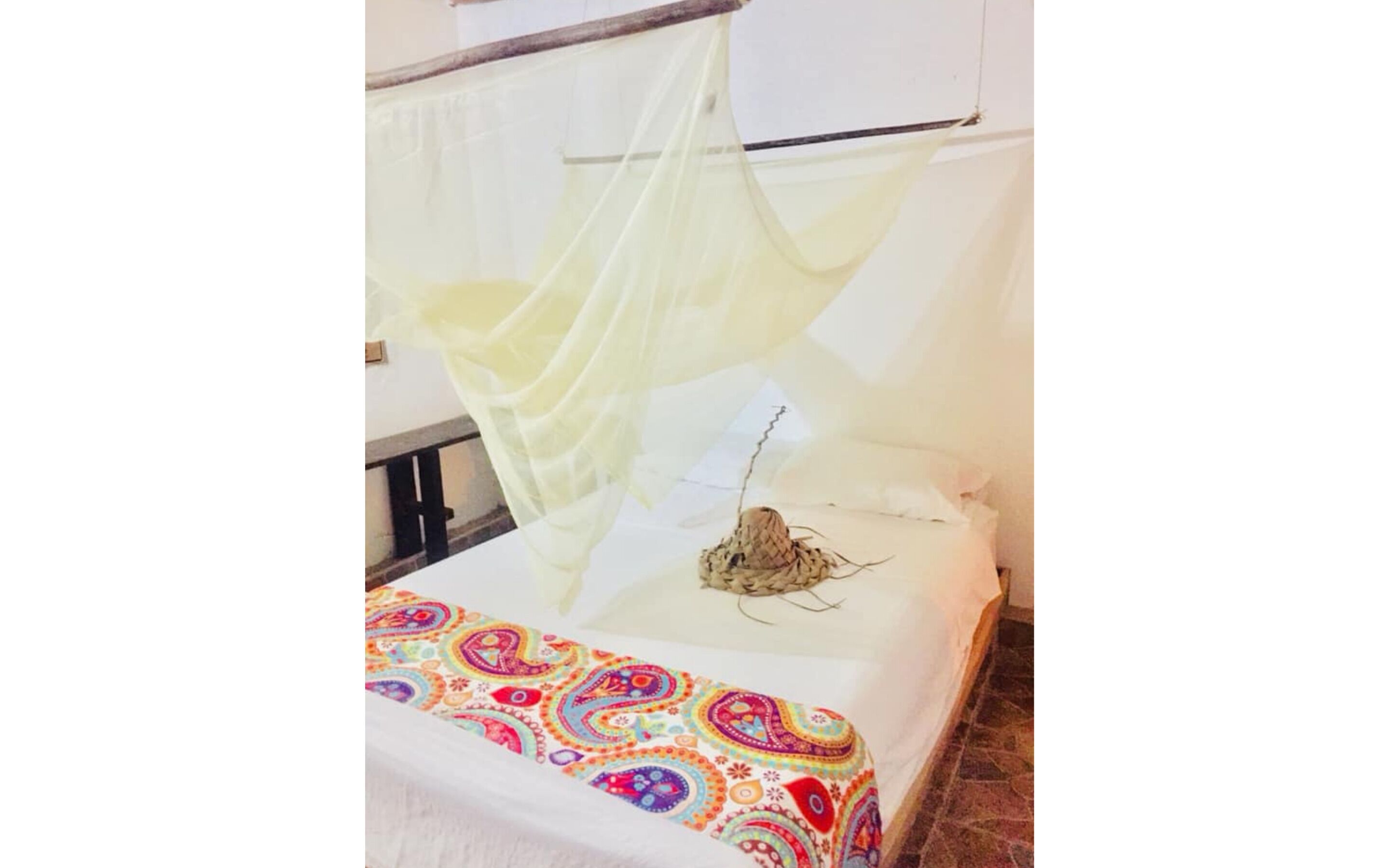 Foto - Palomino Hostel by T2L