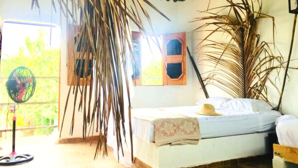 Un dormitorio con cama, ventilador y plantas grandes.
