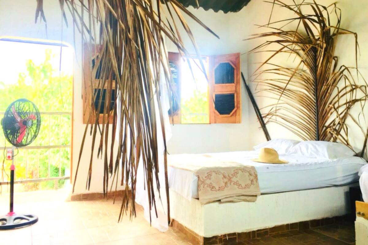 Un dormitorio con cama, ventilador y plantas grandes.