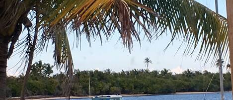 Un puerto deportivo con varias embarcaciones, incluyendo un barco con la marca Mercedes, y coloridos kayaks alineados en la orilla.