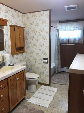 Combined shower/bathtub, hair dryer, towels, soap