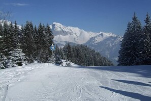 Snow and ski sports - Studio - La chapelle d''abondance (La Chapelle-D'abondance)