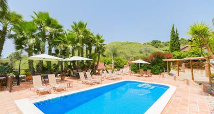 Cubon Palmeral-studio / intiimi / lepo /