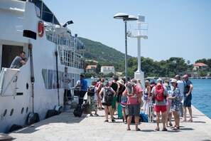 Immagine non classificata, 5 di 22, pulsante