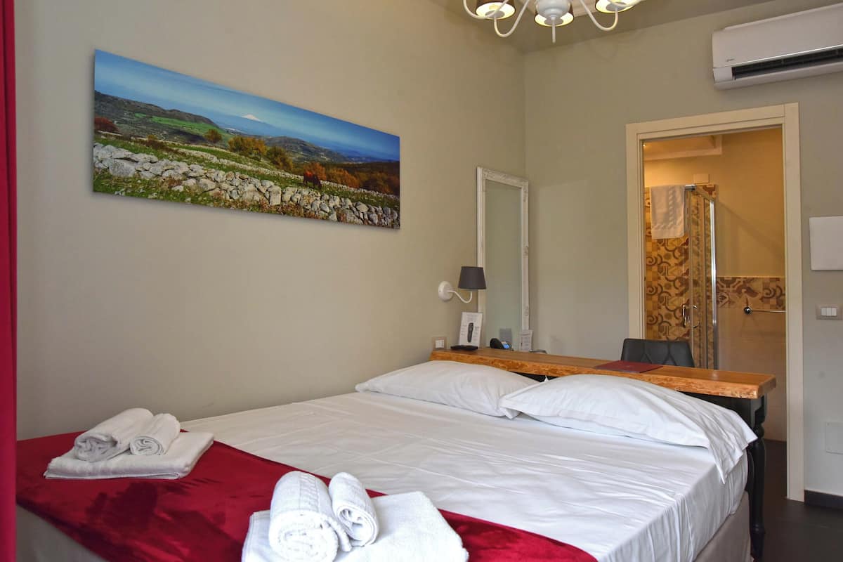 A hotel room with a bed, a painting of a landscape, a mirror, and a shower area.