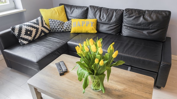 Apartment | Living room | Smart TV, Netflix, streaming services