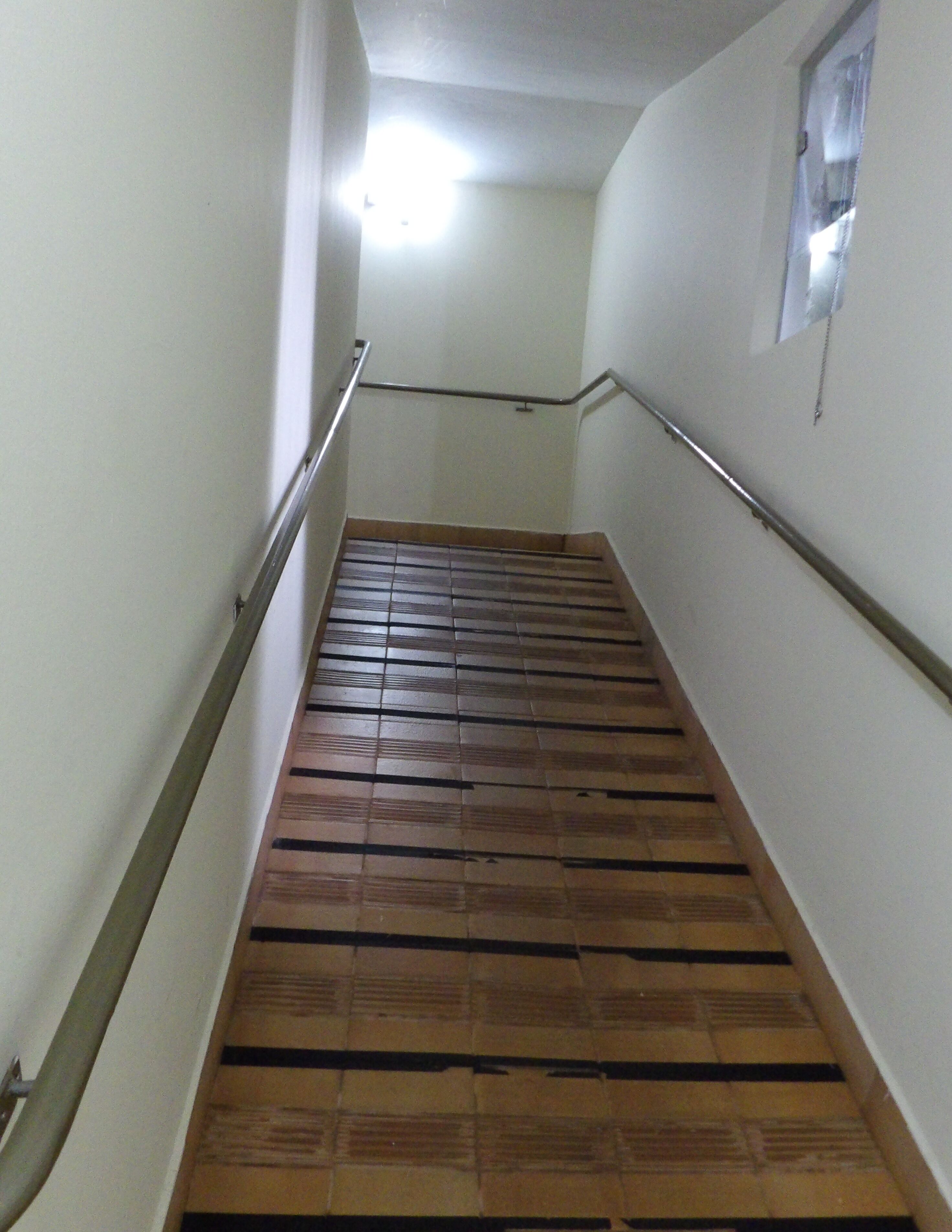 handrails in hallways
