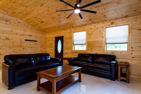 Smart TV, DVD player, books, music library - Cayuga Lake Cabins, Gorgeous Log Cabin home, Cabin C, fire pit, dog friendly (Ovid)