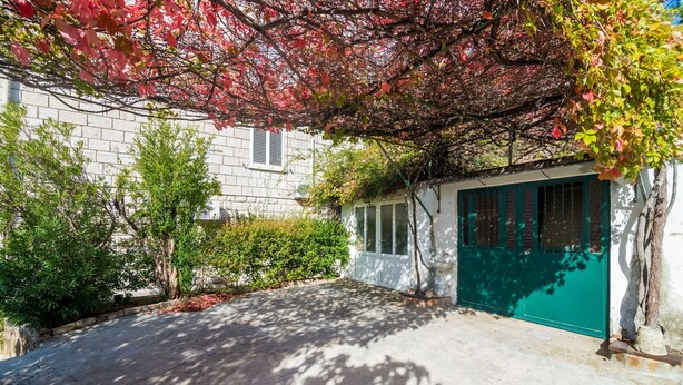 Une allée pavée mène à un bâtiment dont la porte de garage est verte, le tout étant entouré d’arbres et d’arbustes.