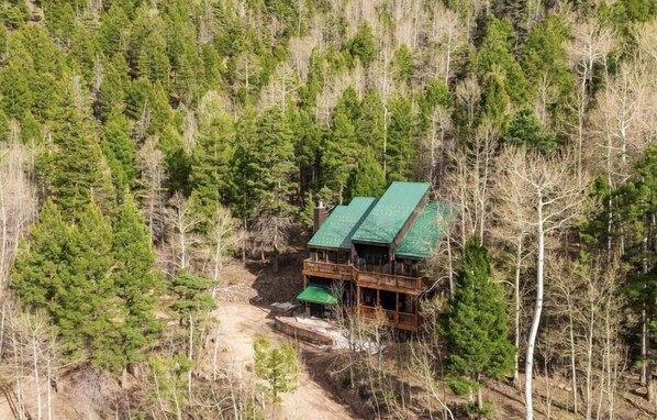 Exterior - Views | WiFi | Fireplace | Elk Ridge Lodge (Angel Fire)