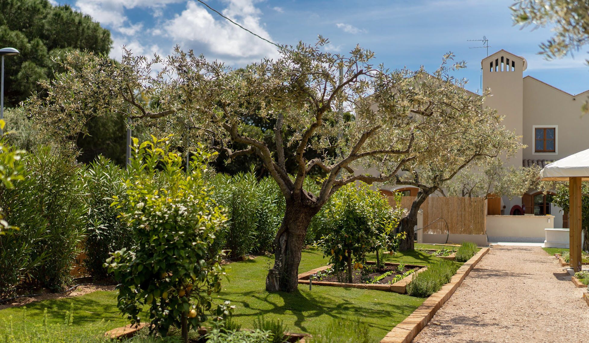Un jardin avec un grand arbre, un sentier et un bâtiment doté d’une tour.