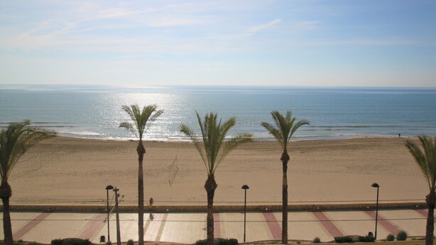 A beach with palm trees and a clear sky. - Apto CasaTuris 1Línea Muchavista C101 (Ibi)