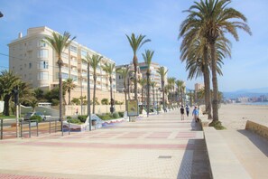 A beachfront promenade with palm trees, a tiled walkway, and a building with balconies.