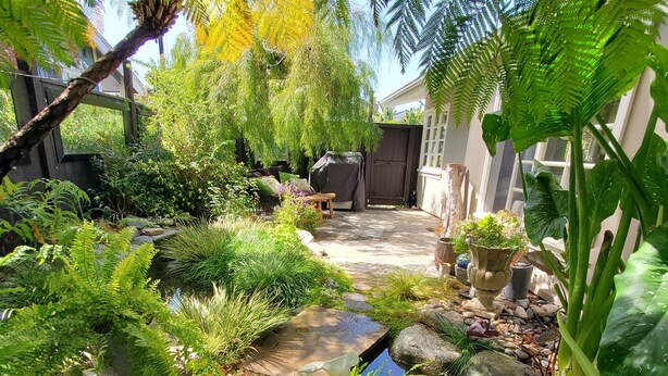 A garden with a small pond, rocks, and various plants. - Private Cottage Oasis in CdM - Ideal Village Location on XL Lot (Corona del Mar)