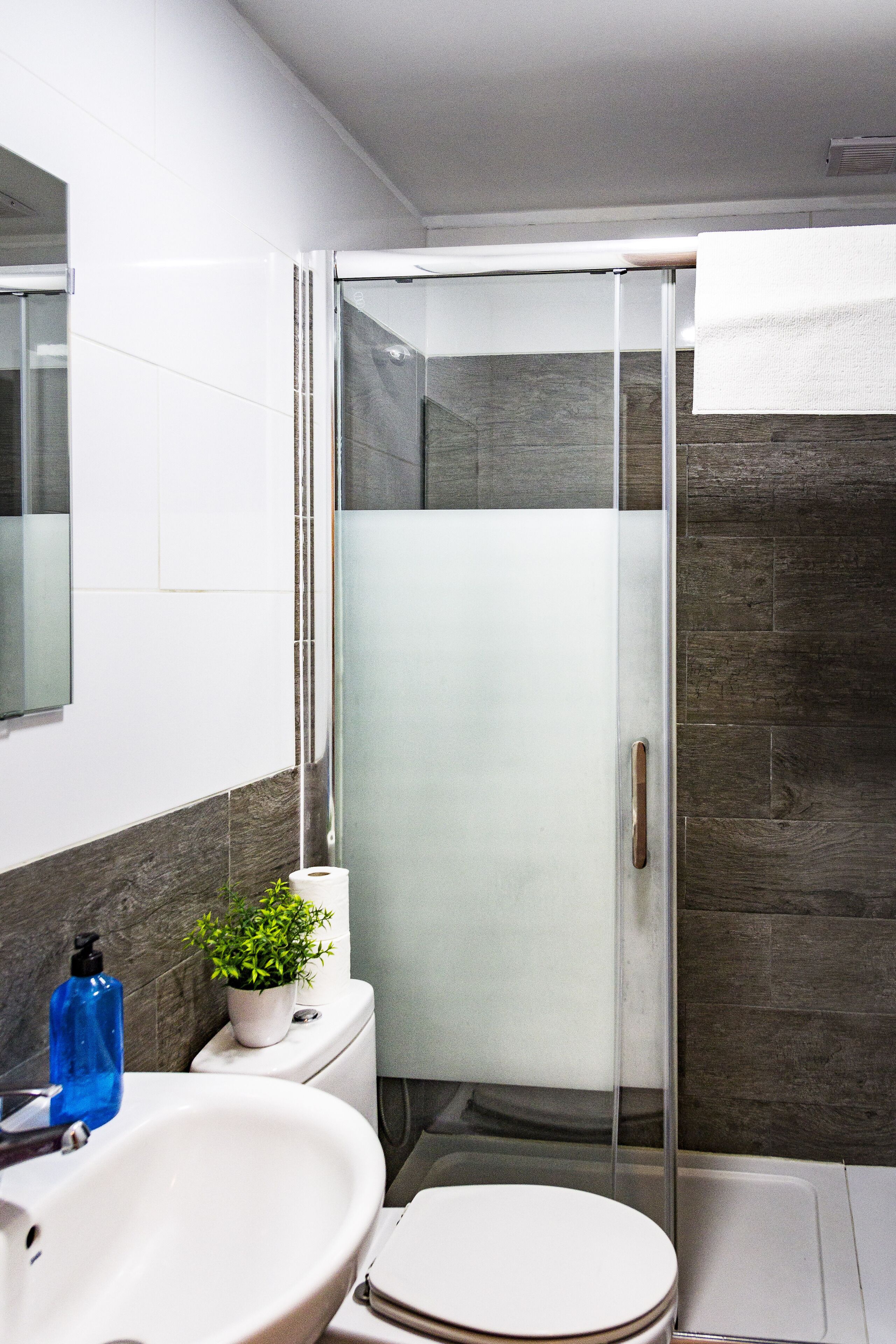 Foto - Aloe Vera Shared House