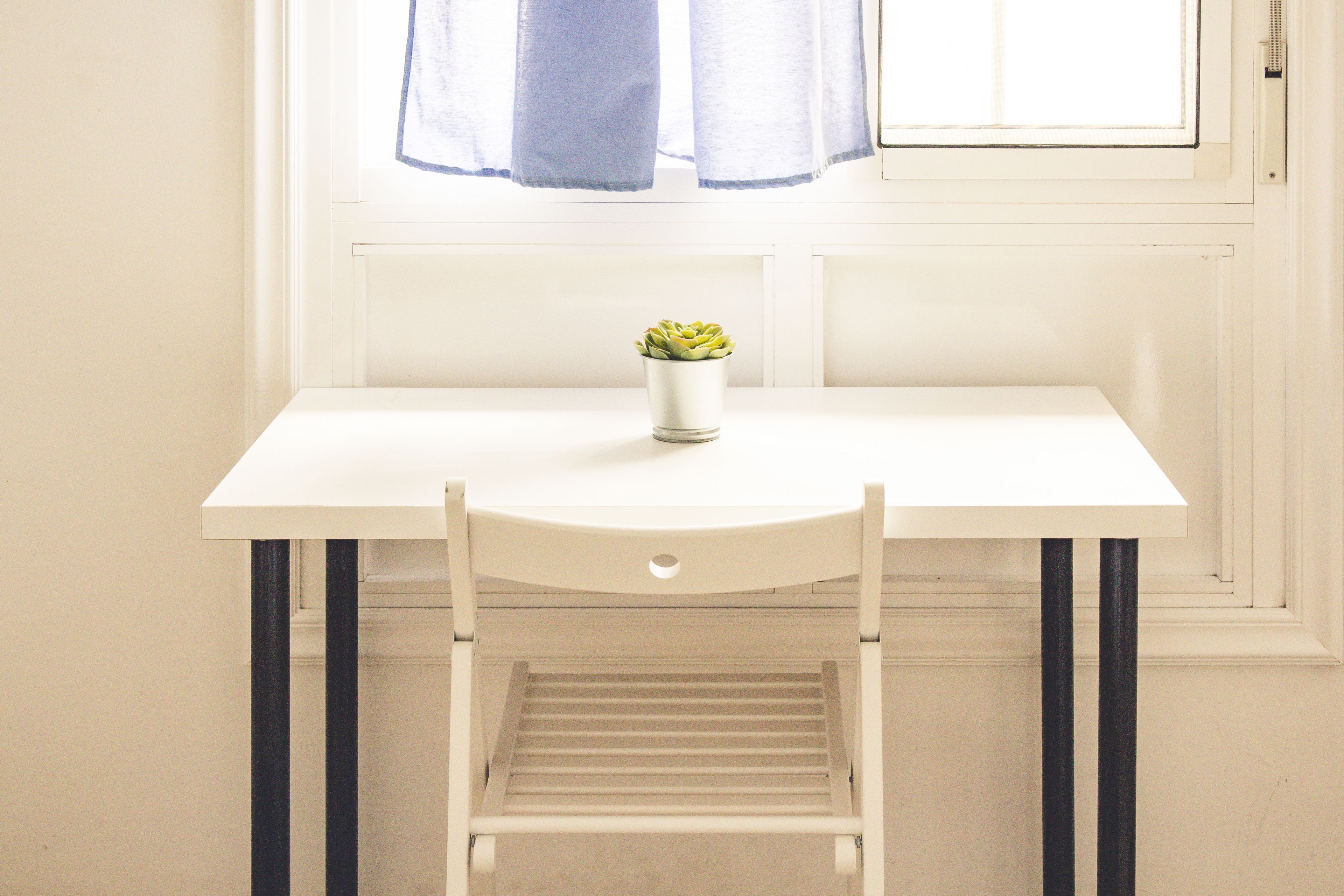 Foto - Aloe Vera Shared House