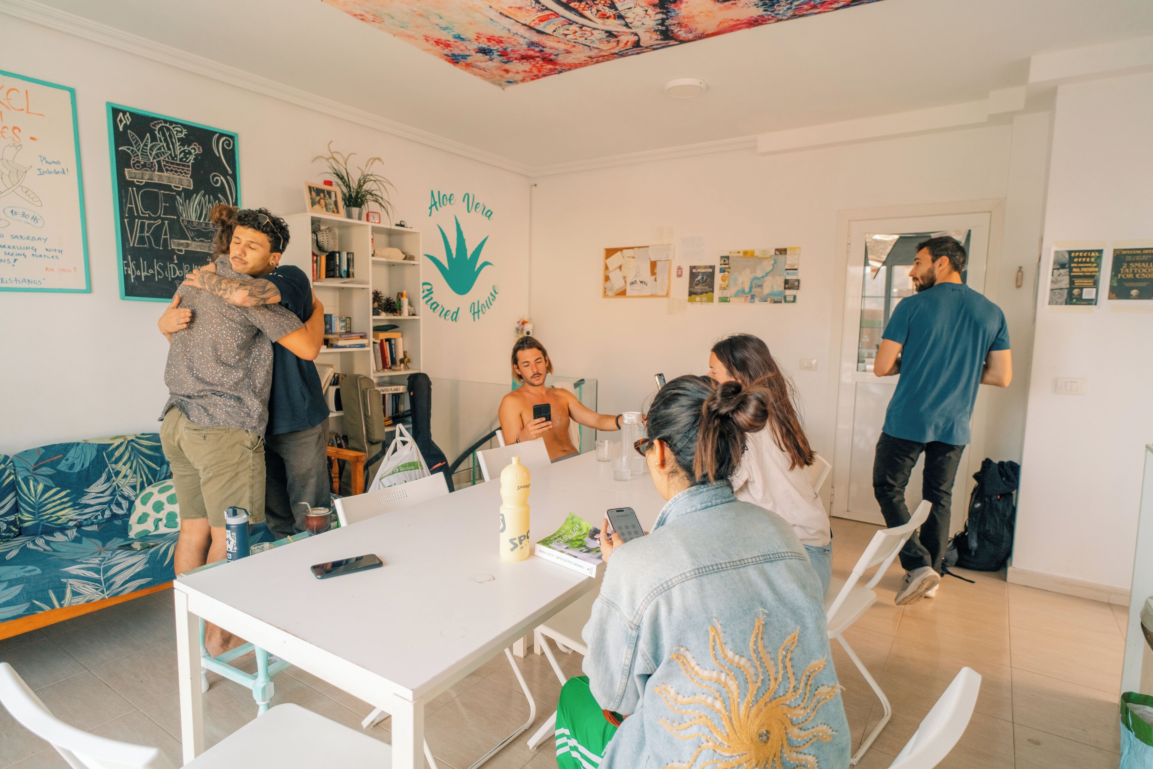 Foto - Aloe Vera Shared House