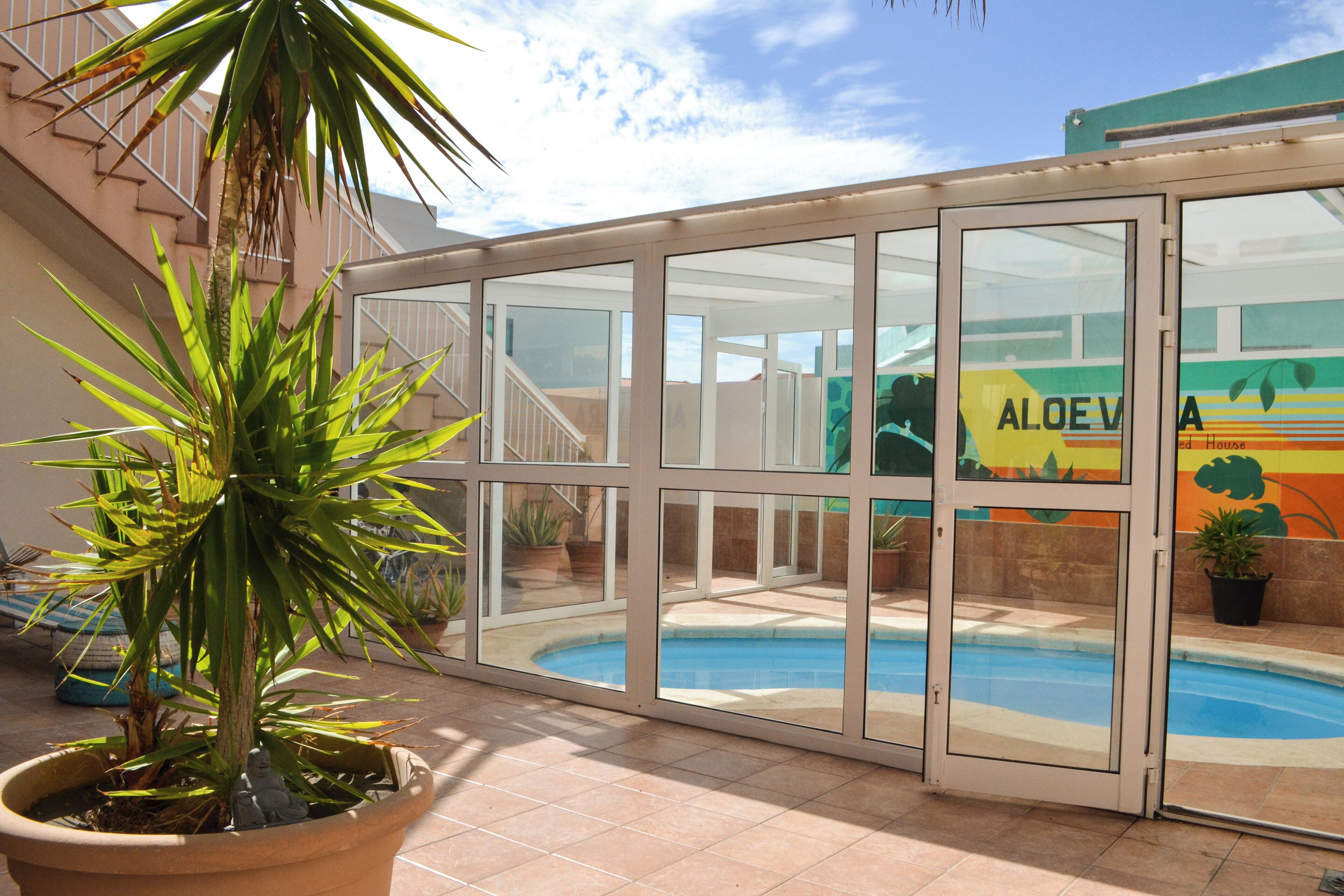 Foto - Aloe Vera Shared House