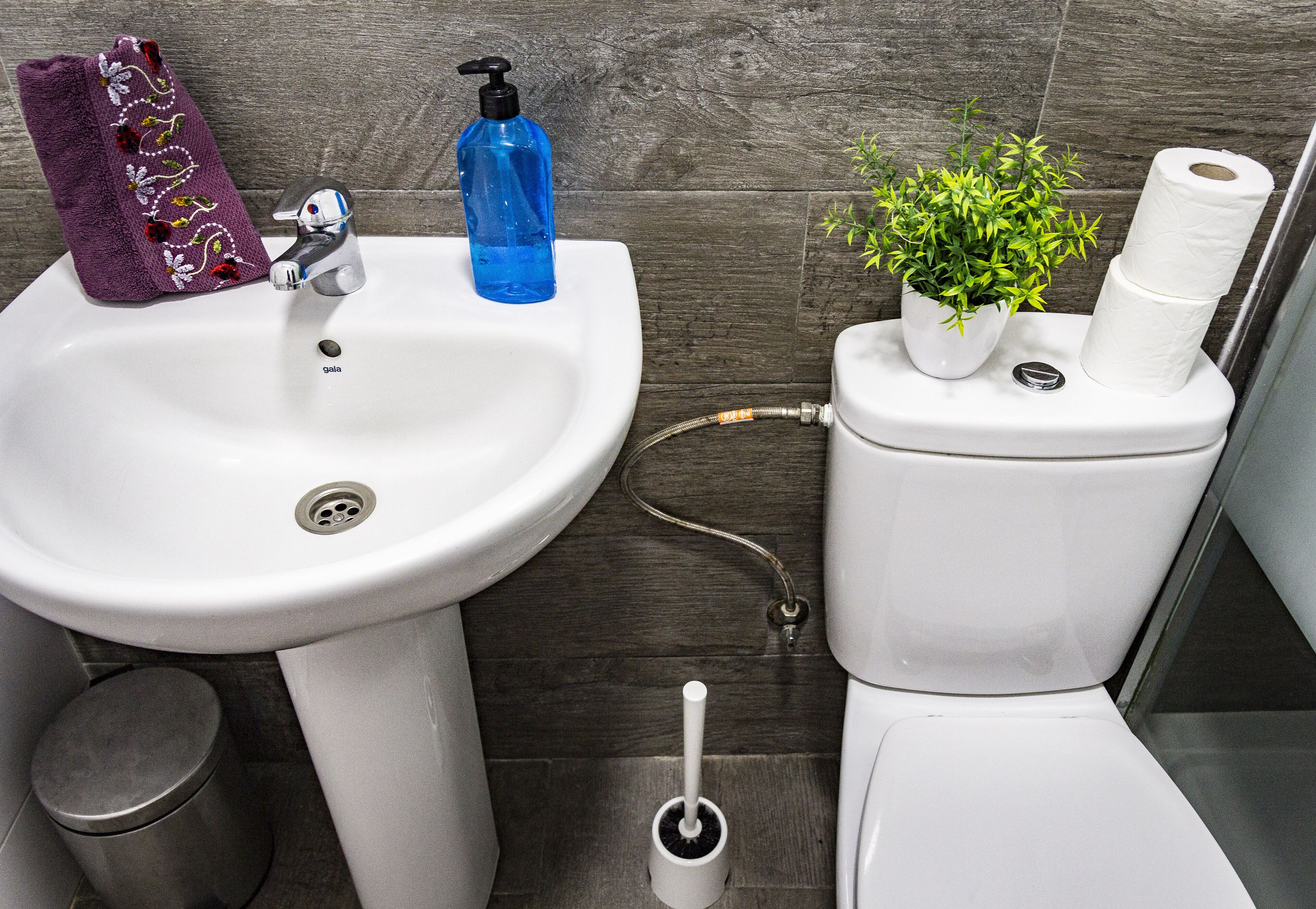Un baño con un lavamanos blanco, una toalla morada, un dispensador de jabón azul, un porta papel higiénico y una pequeña planta en maceta.