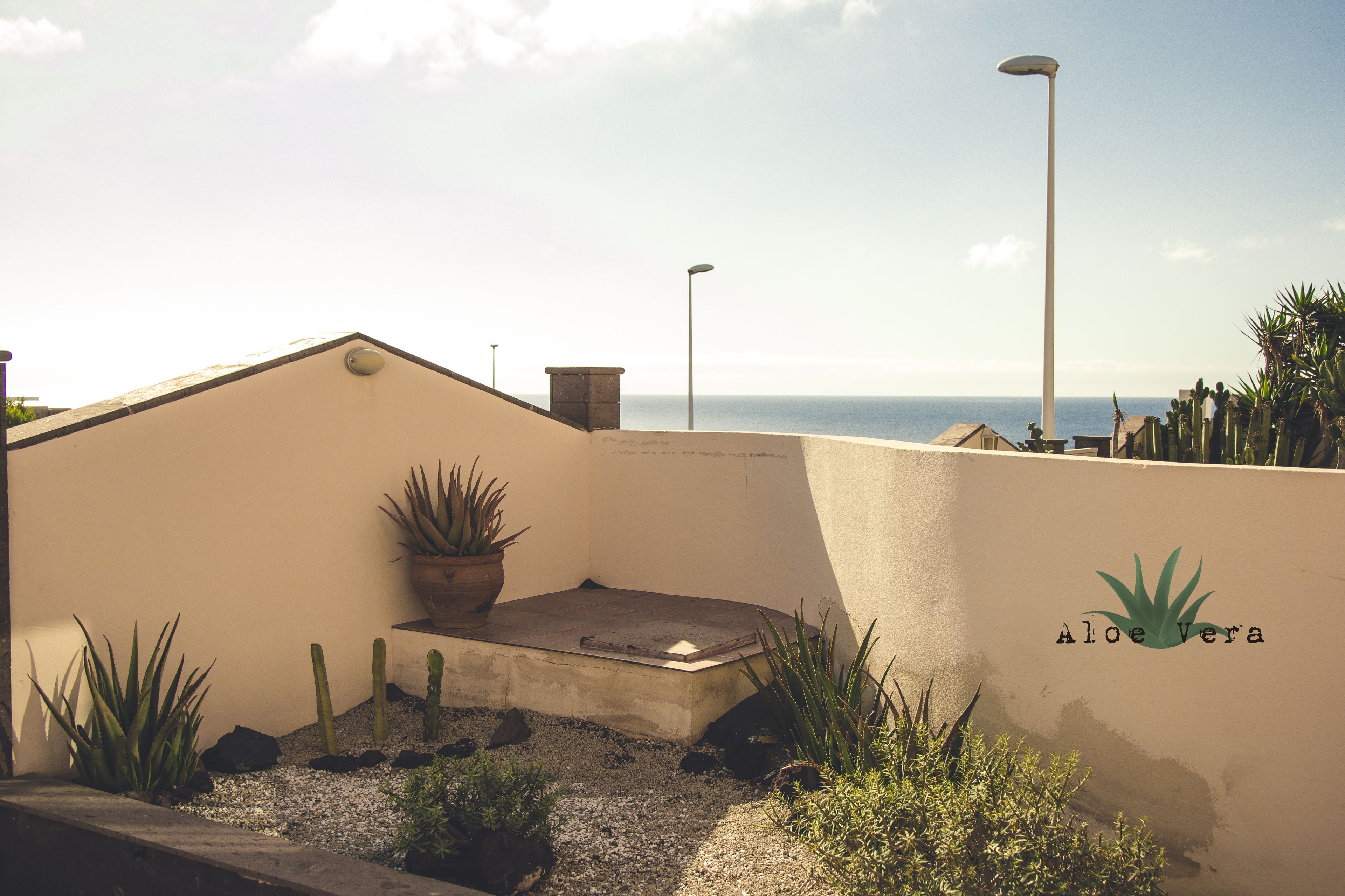Aloe Vera Shared House - Hostel Reviews, Deals & Photos 2026 - Expedia