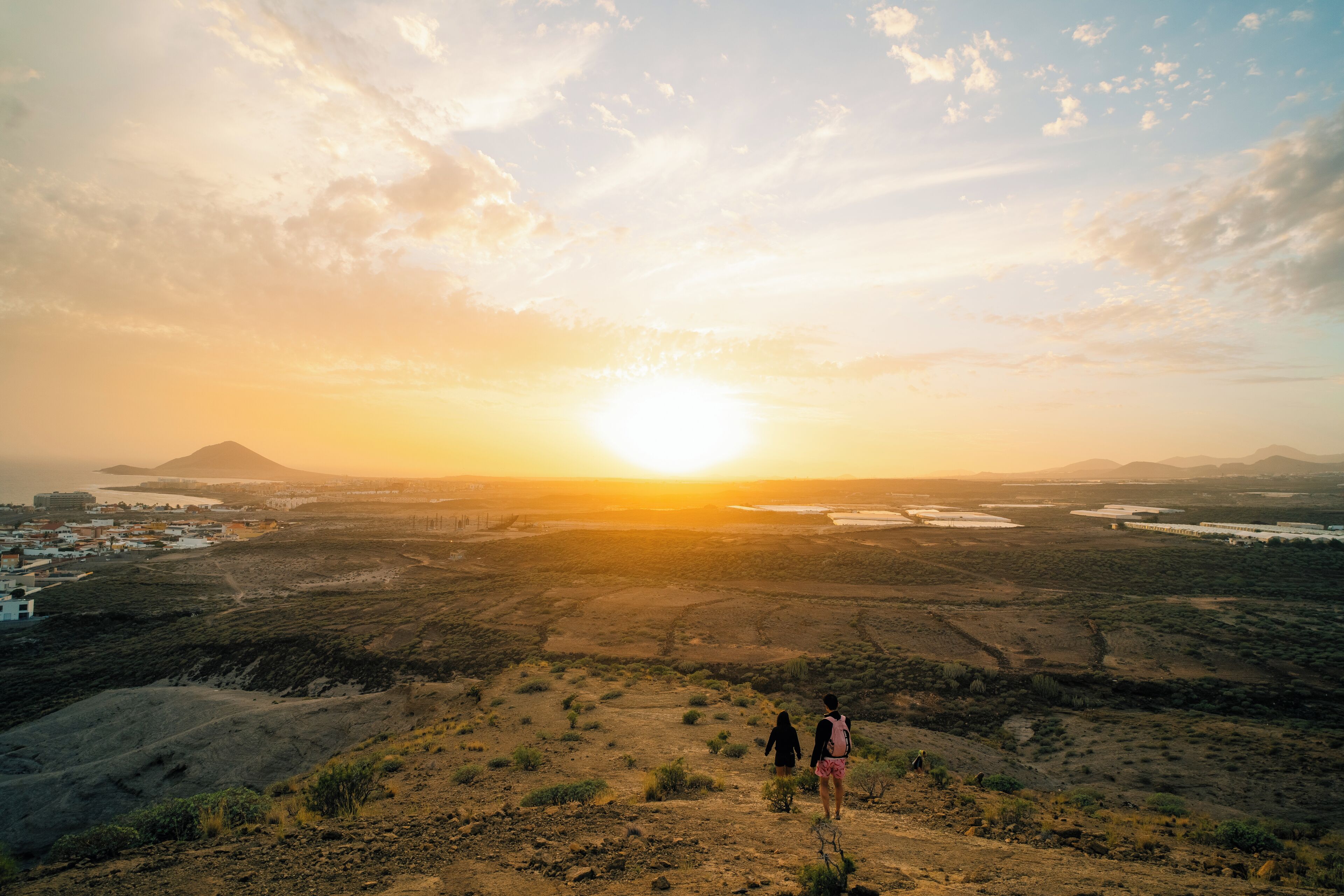 Foto - Aloe Vera Shared House