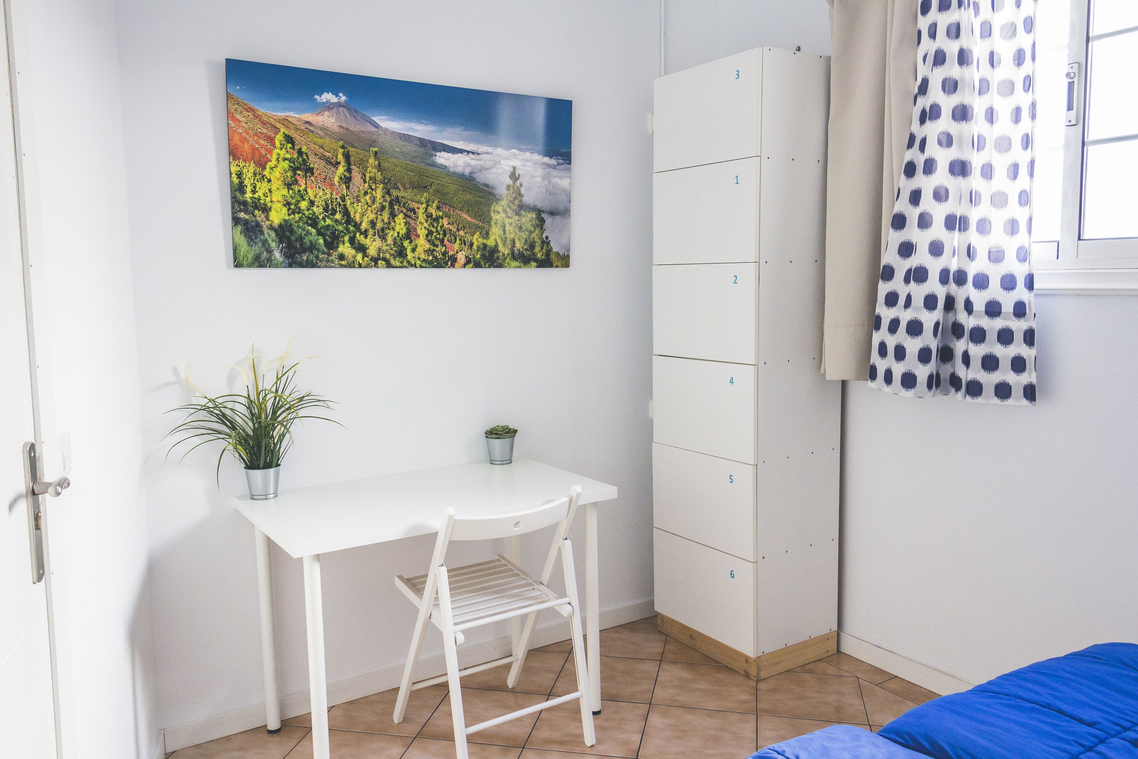 Una habitación con una cama, un escritorio con una silla, una planta en maceta, un armario y un cuadro en la pared.