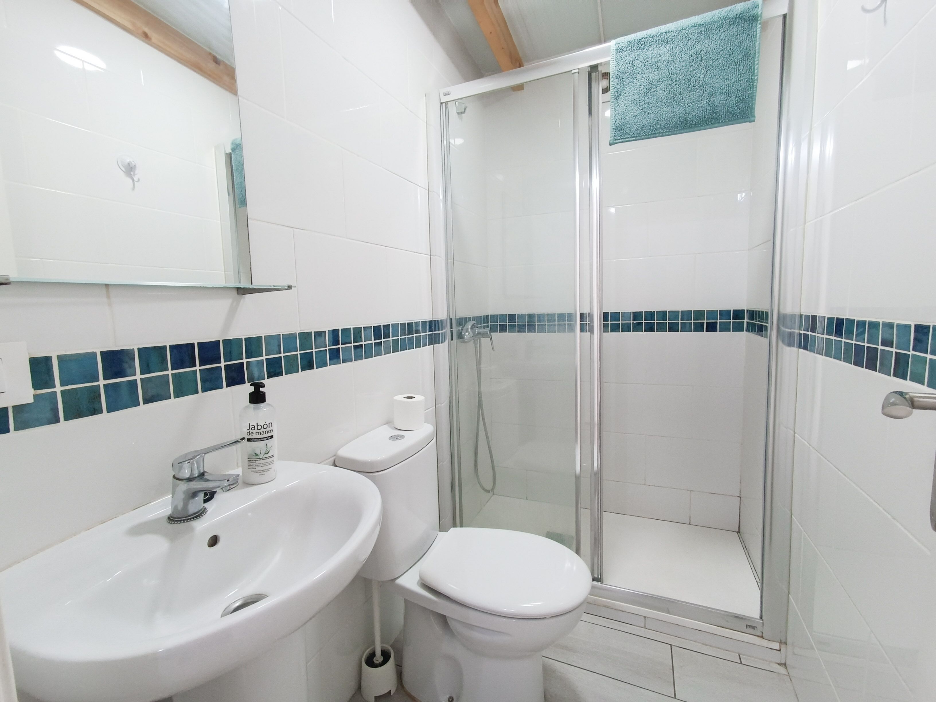 Foto - Aloe Vera Shared House