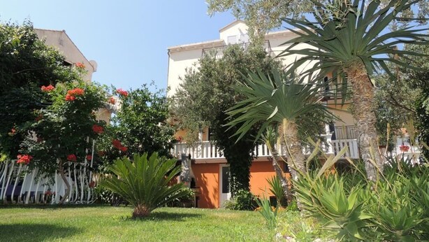 Ein Garten mit einer Palme, einem weißen Zaun und einem Gebäude mit einem Balkon.