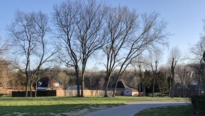 Un sendero pavimentado en un parque, con árboles y casas al fondo.